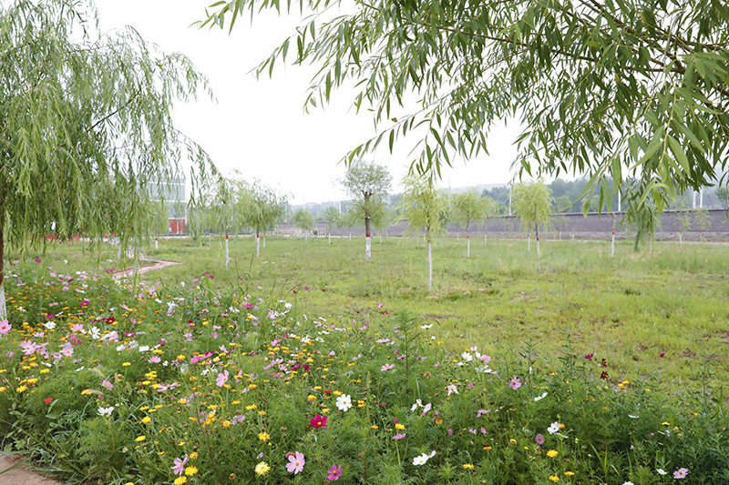廠區花園